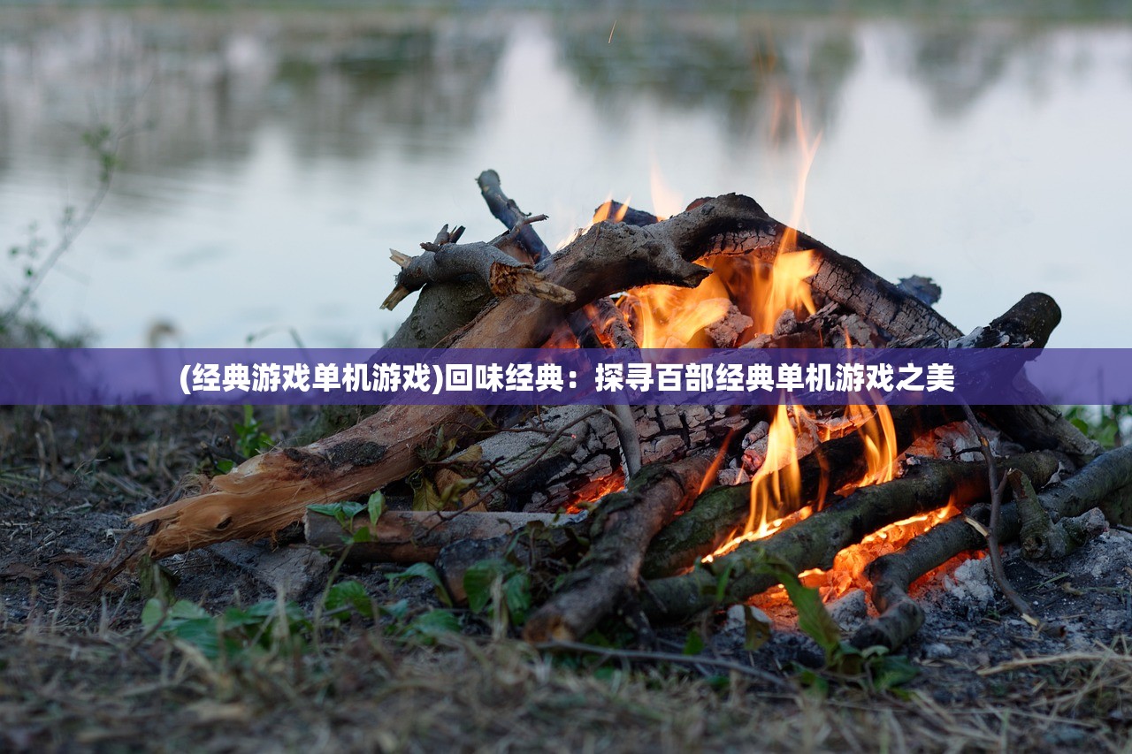 (经典游戏单机游戏)回味经典：探寻百部经典单机游戏之美