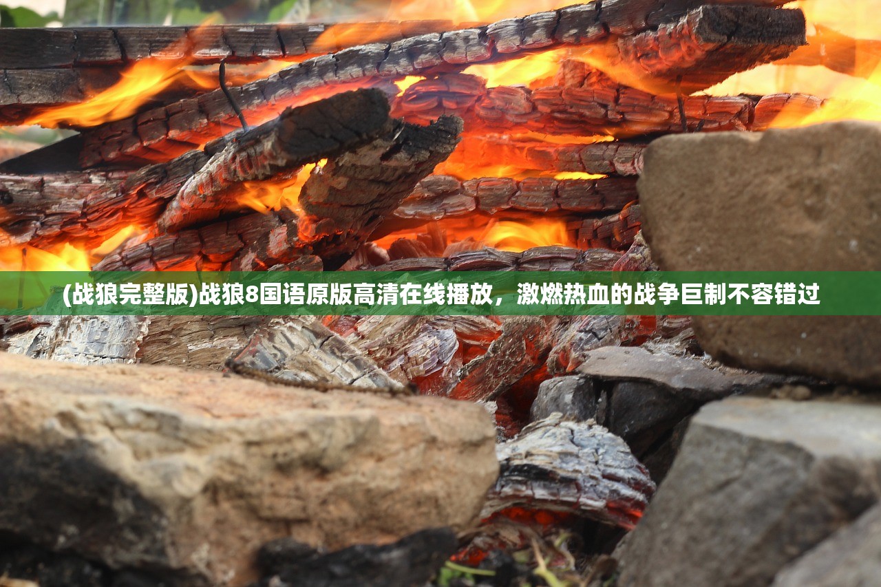 (战狼完整版)战狼8国语原版高清在线播放，激燃热血的战争巨制不容错过