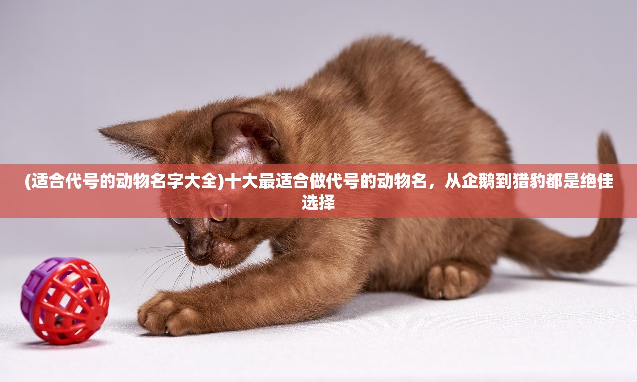 (适合代号的动物名字大全)十大最适合做代号的动物名，从企鹅到猎豹都是绝佳选择