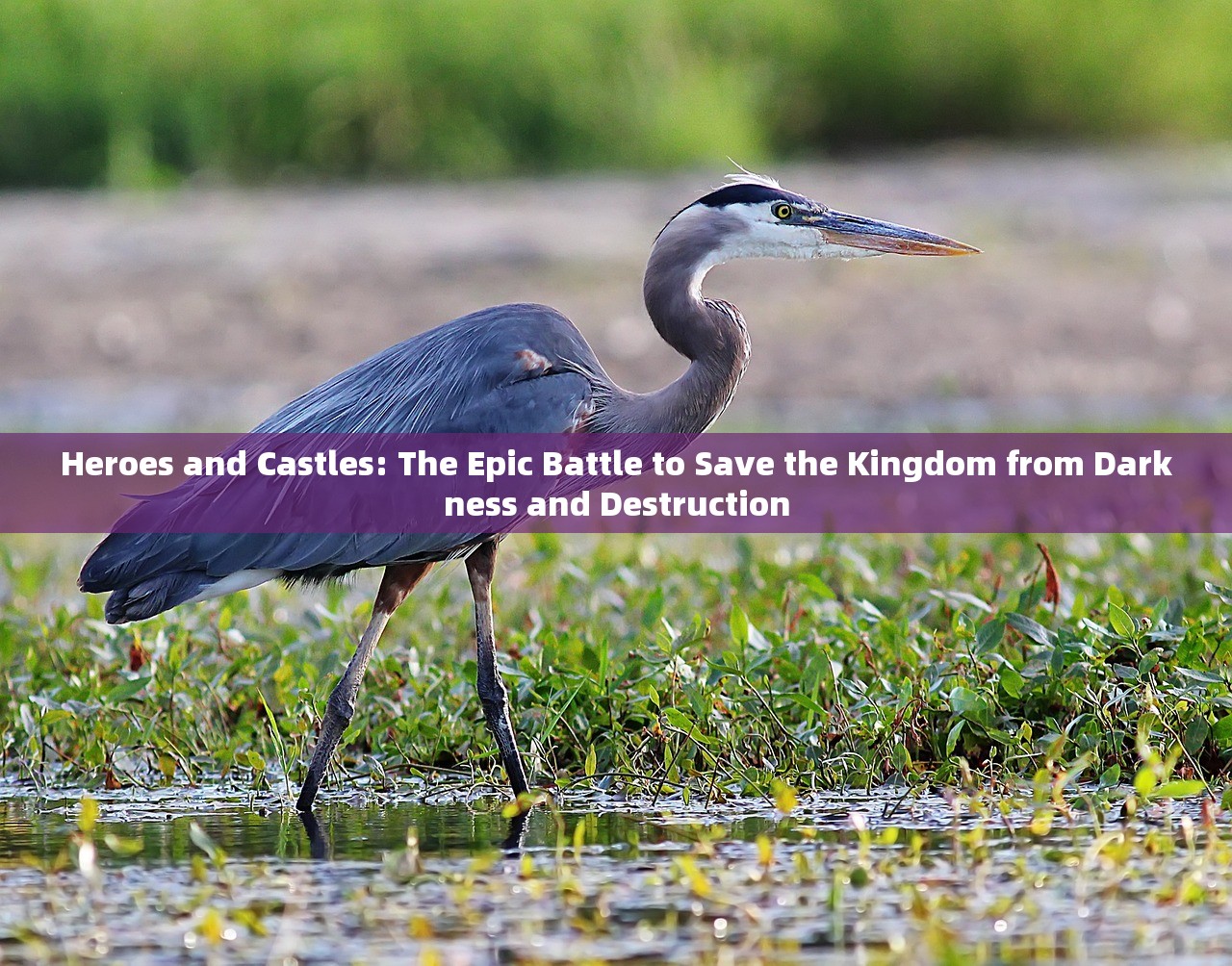 Heroes and Castles: The Epic Battle to Save the Kingdom from Darkness and Destruction