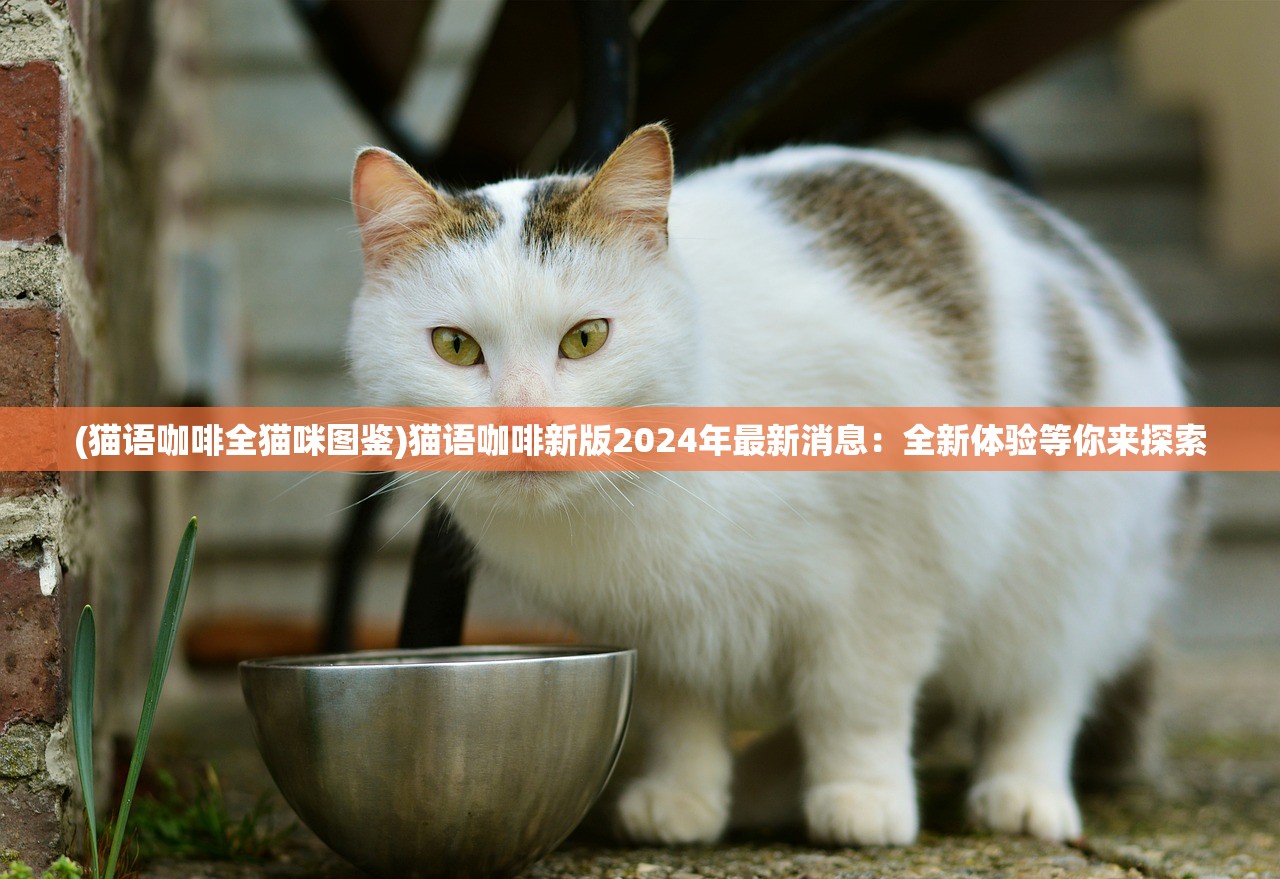 (猫语咖啡全猫咪图鉴)猫语咖啡新版2024年最新消息：全新体验等你来探索