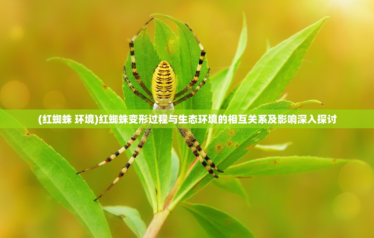 (红蜘蛛 环境)红蜘蛛变形过程与生态环境的相互关系及影响深入探讨