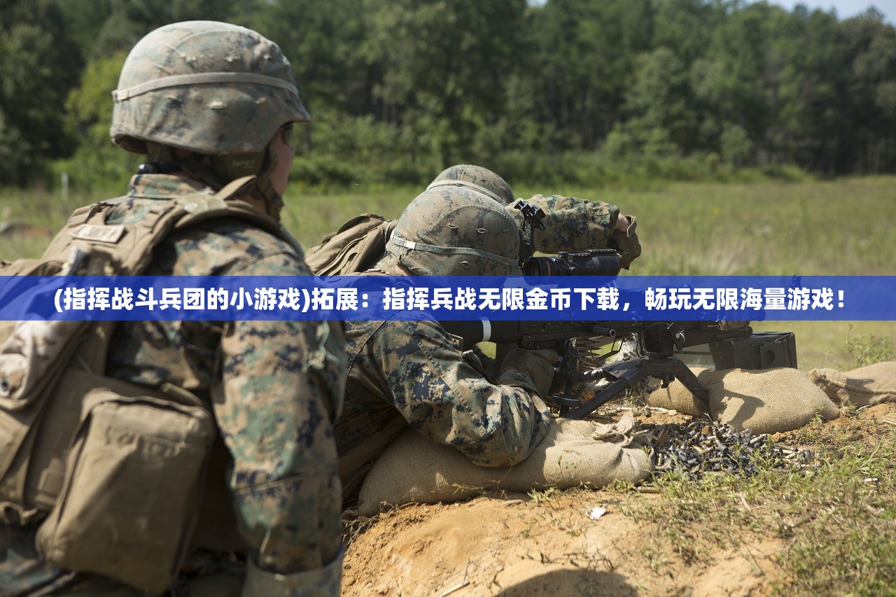 (指挥战斗兵团的小游戏)拓展：指挥兵战无限金币下载，畅玩无限海量游戏！