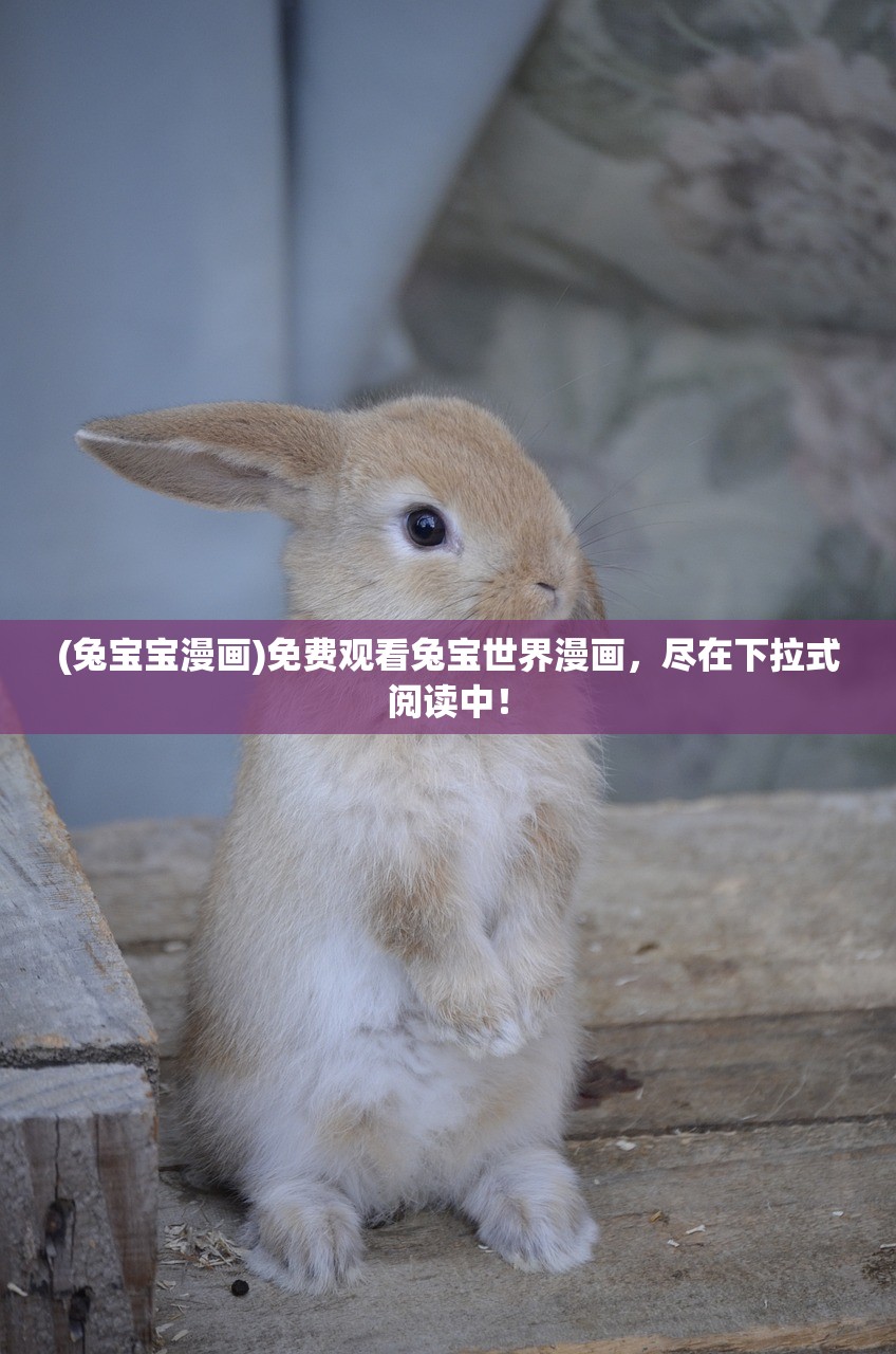 (兔宝宝漫画)免费观看兔宝世界漫画，尽在下拉式阅读中！