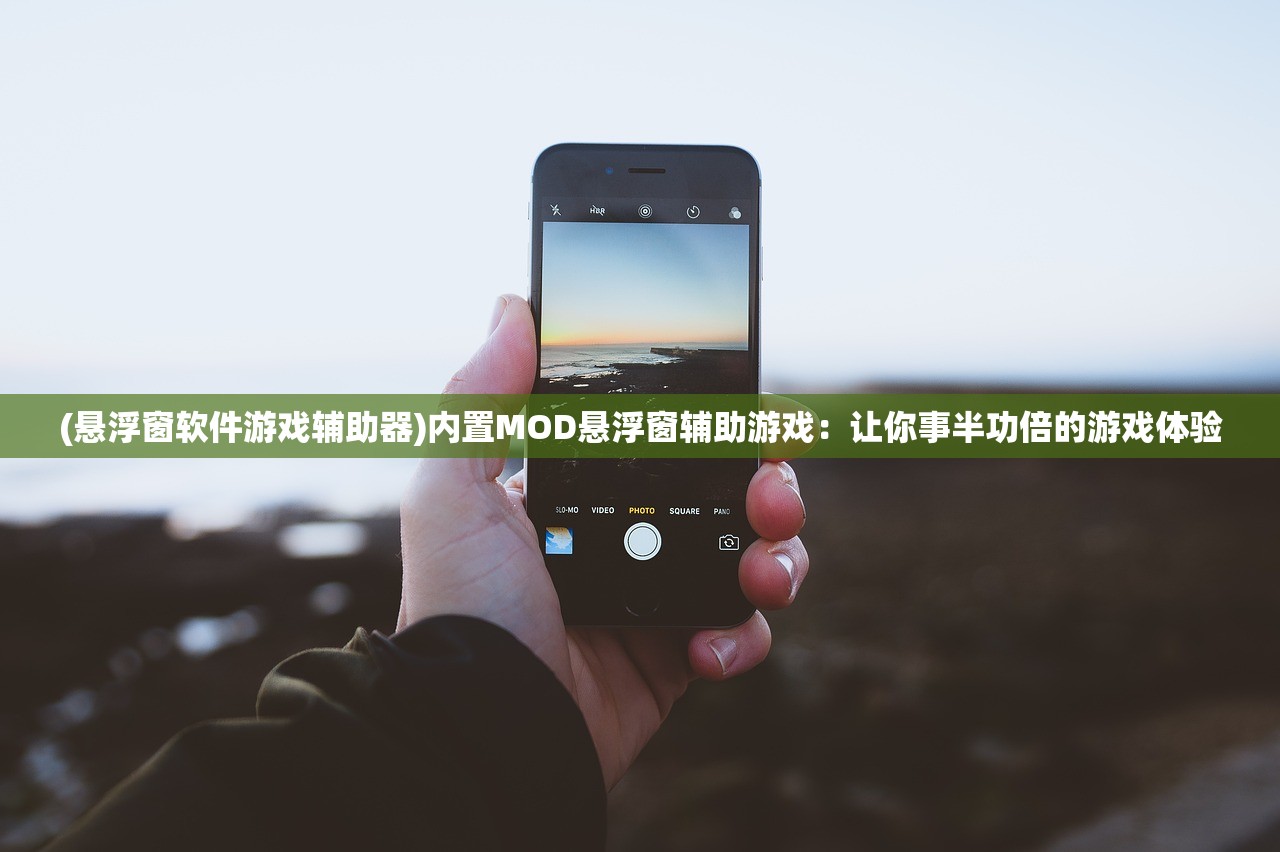 (悬浮窗软件游戏辅助器)内置MOD悬浮窗辅助游戏：让你事半功倍的游戏体验