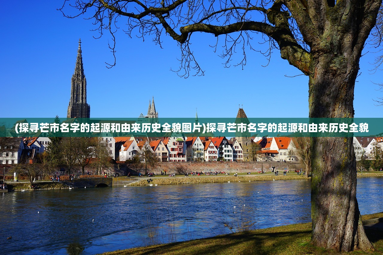 (探寻芒市名字的起源和由来历史全貌图片)探寻芒市名字的起源和由来历史全貌
