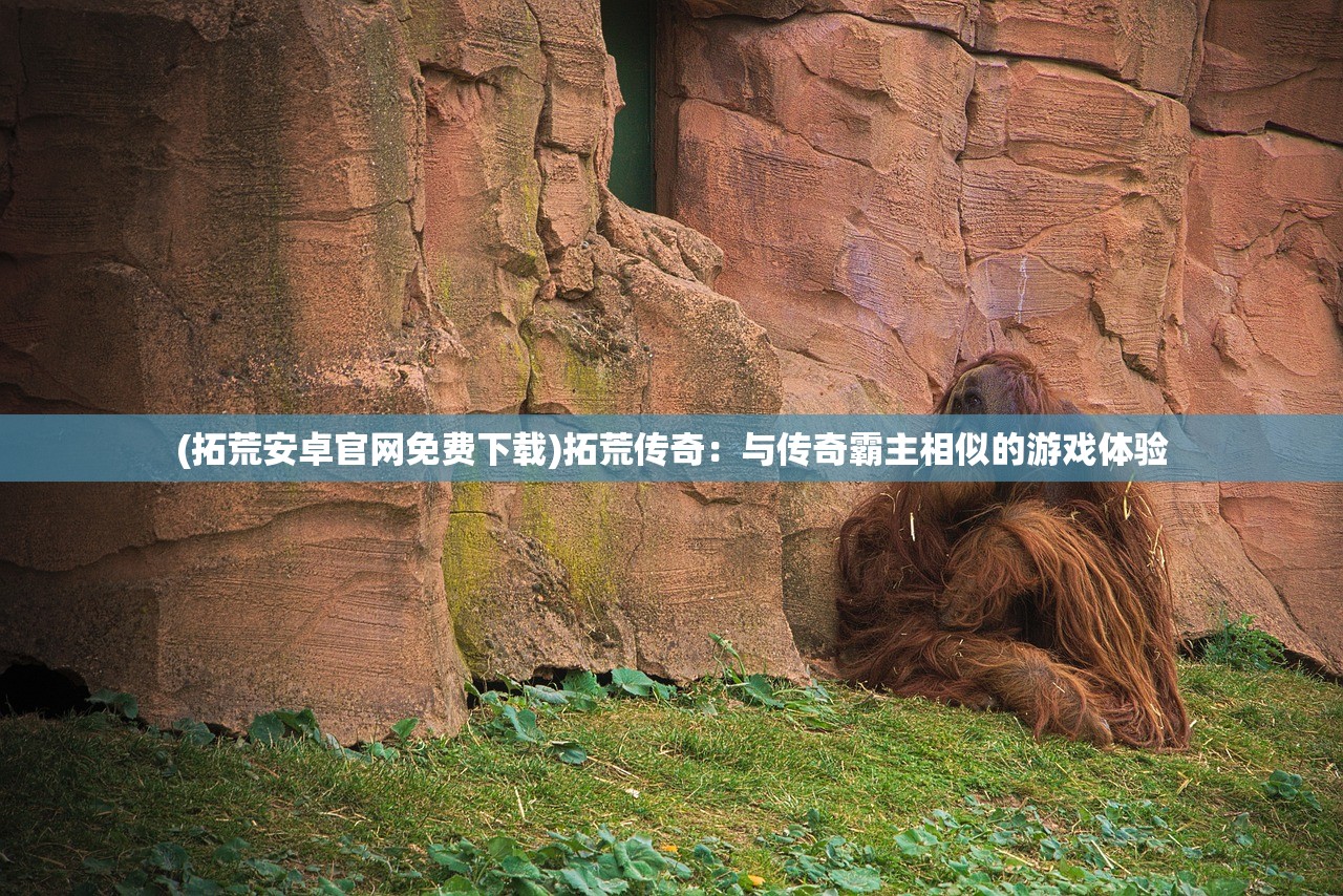 (拓荒安卓官网免费下载)拓荒传奇：与传奇霸主相似的游戏体验