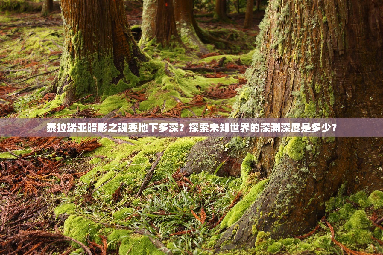 泰拉瑞亚暗影之魂要地下多深？探索未知世界的深渊深度是多少？