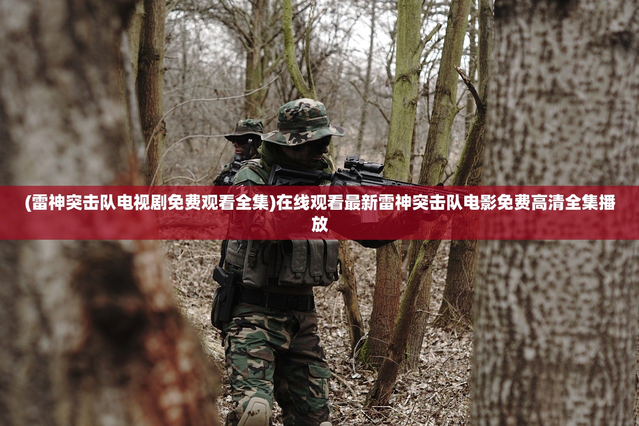 (雷神突击队电视剧免费观看全集)在线观看最新雷神突击队电影免费高清全集播放