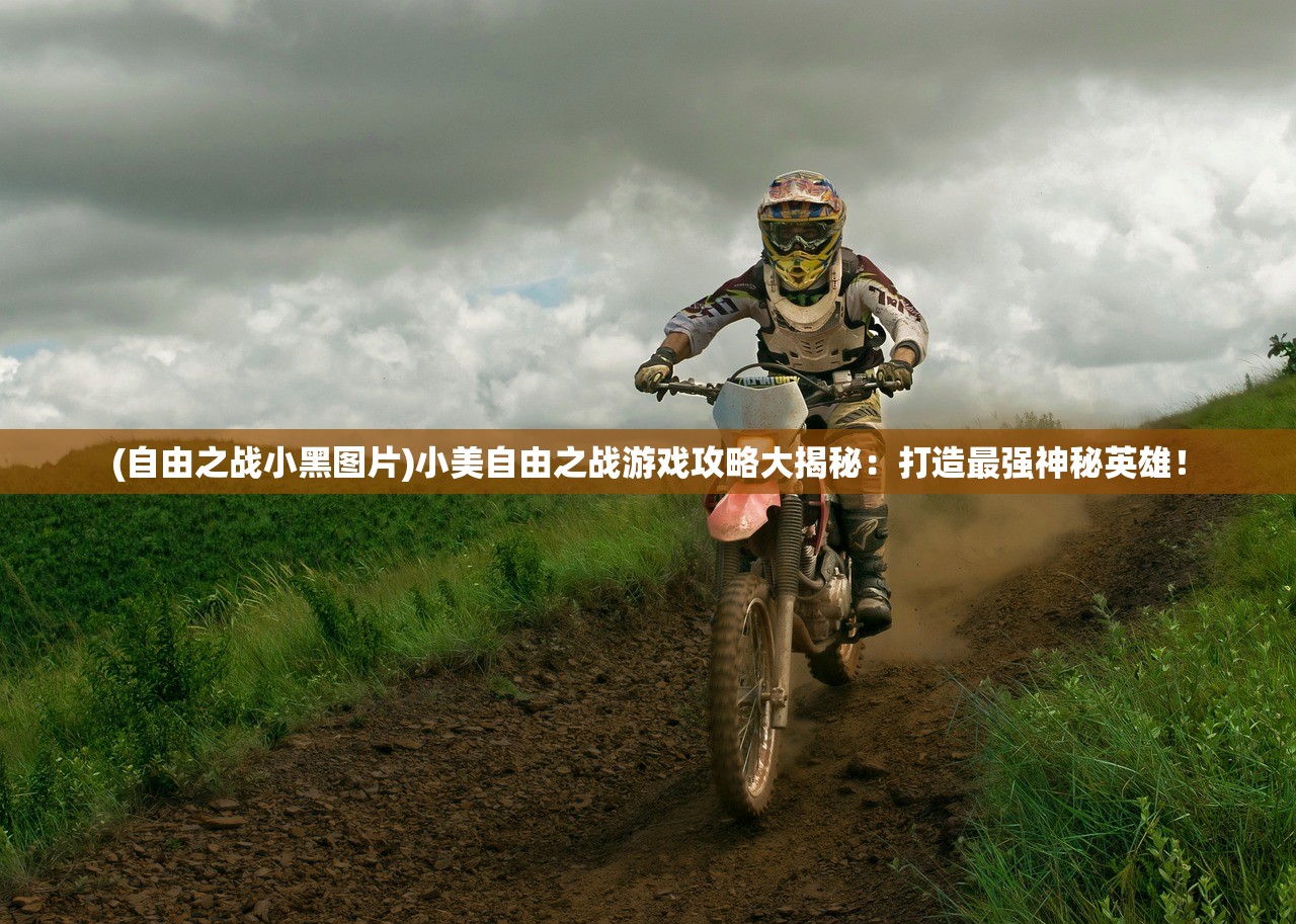 (自由之战小黑图片)小美自由之战游戏攻略大揭秘：打造最强神秘英雄！