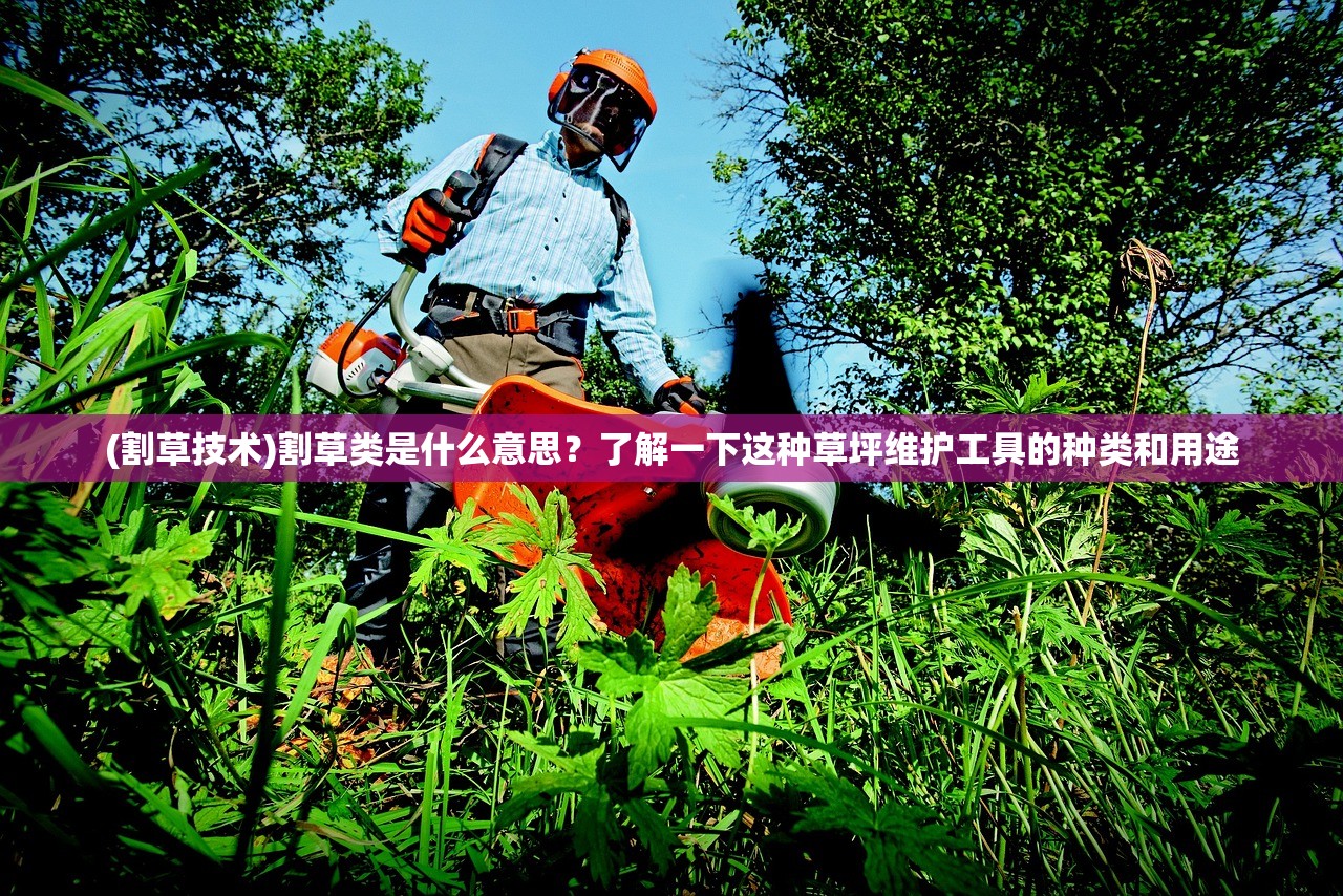 (割草技术)割草类是什么意思？了解一下这种草坪维护工具的种类和用途
