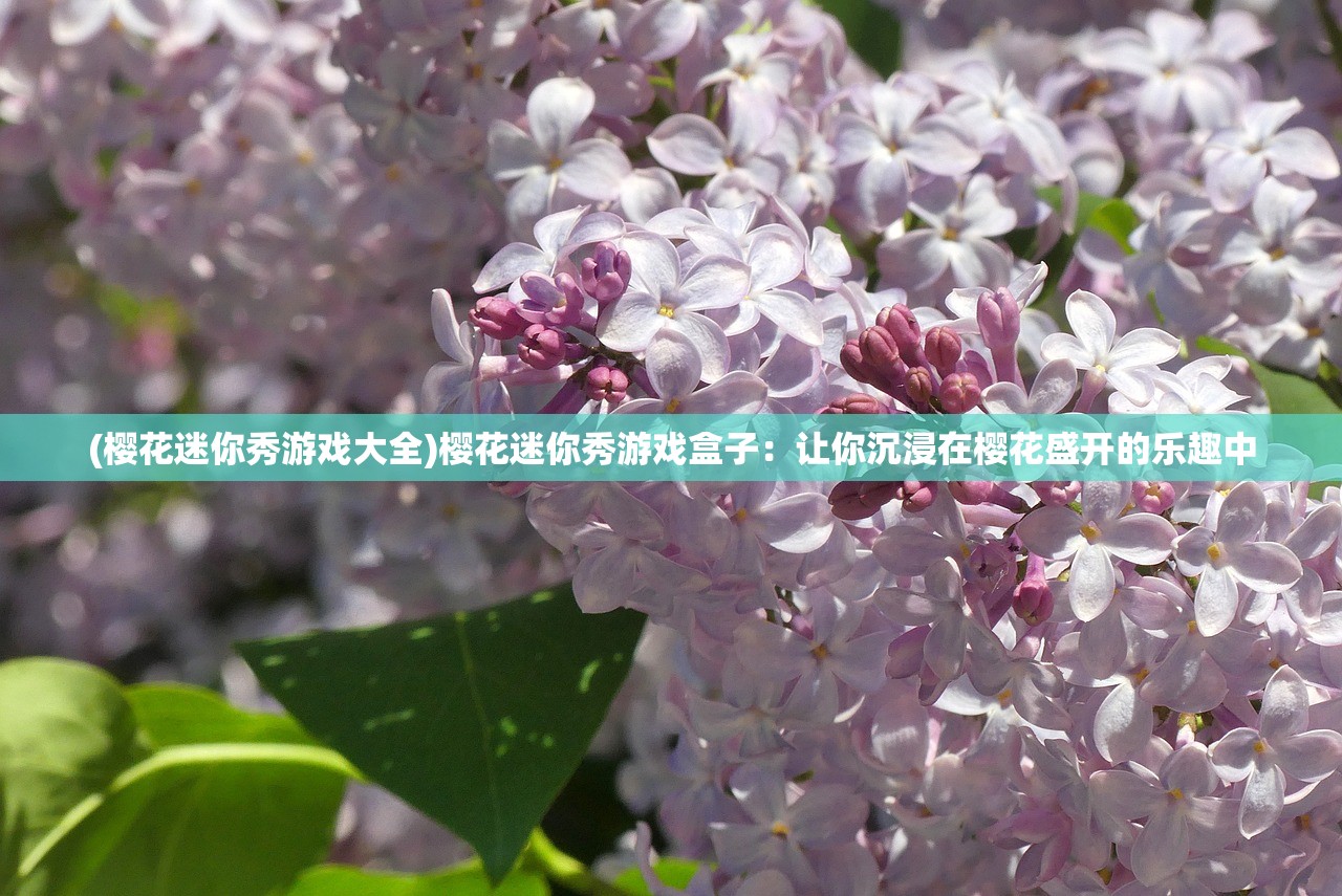 (樱花迷你秀游戏大全)樱花迷你秀游戏盒子：让你沉浸在樱花盛开的乐趣中