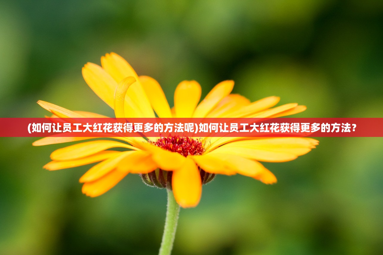 (如何让员工大红花获得更多的方法呢)如何让员工大红花获得更多的方法？
