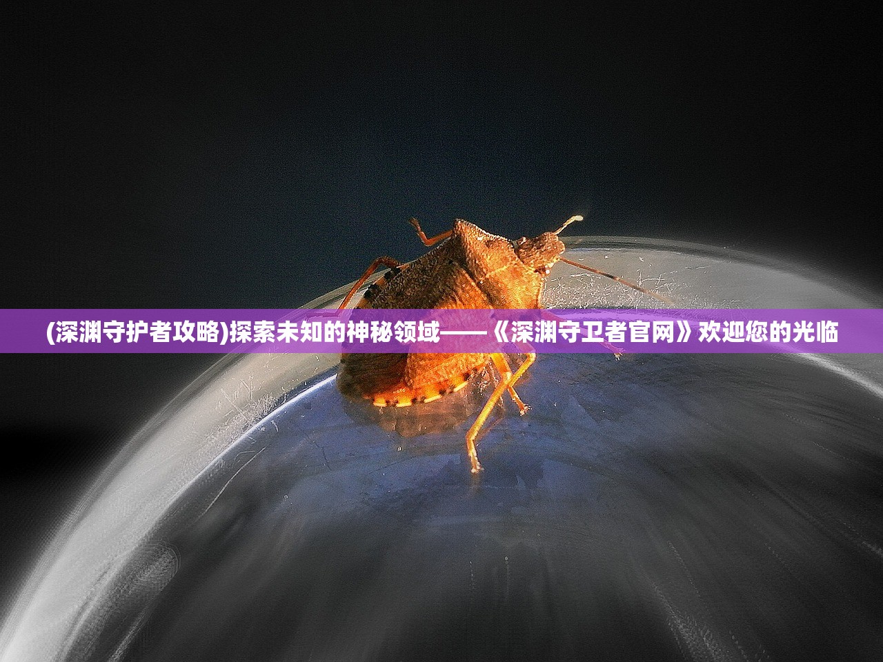 (深渊守护者攻略)探索未知的神秘领域——《深渊守卫者官网》欢迎您的光临