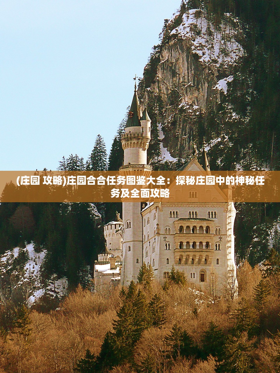 (庄园 攻略)庄园合合任务图鉴大全：探秘庄园中的神秘任务及全面攻略
