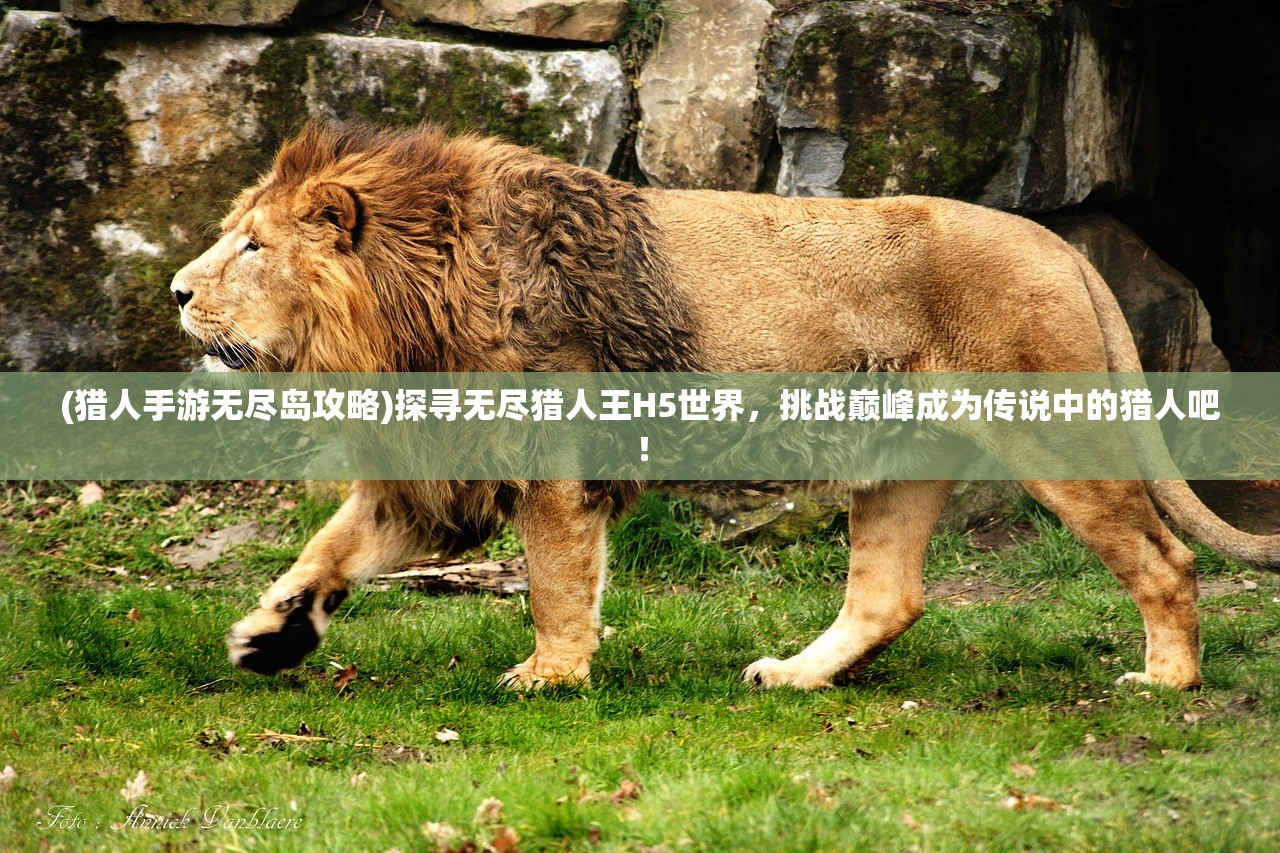 (猎人手游无尽岛攻略)探寻无尽猎人王H5世界，挑战巅峰成为传说中的猎人吧！