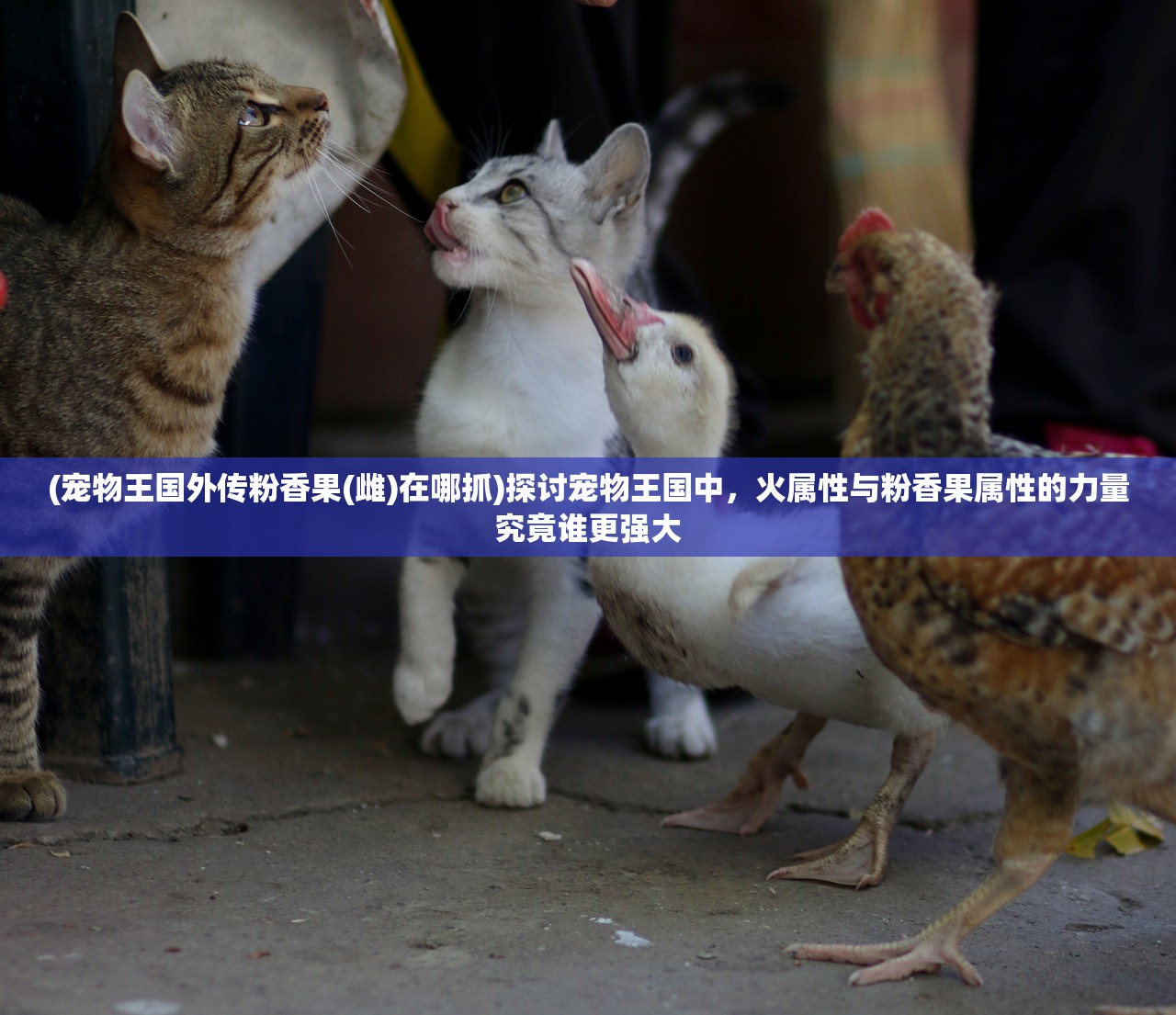 (宠物王国外传粉香果(雌)在哪抓)探讨宠物王国中，火属性与粉香果属性的力量究竟谁更强大