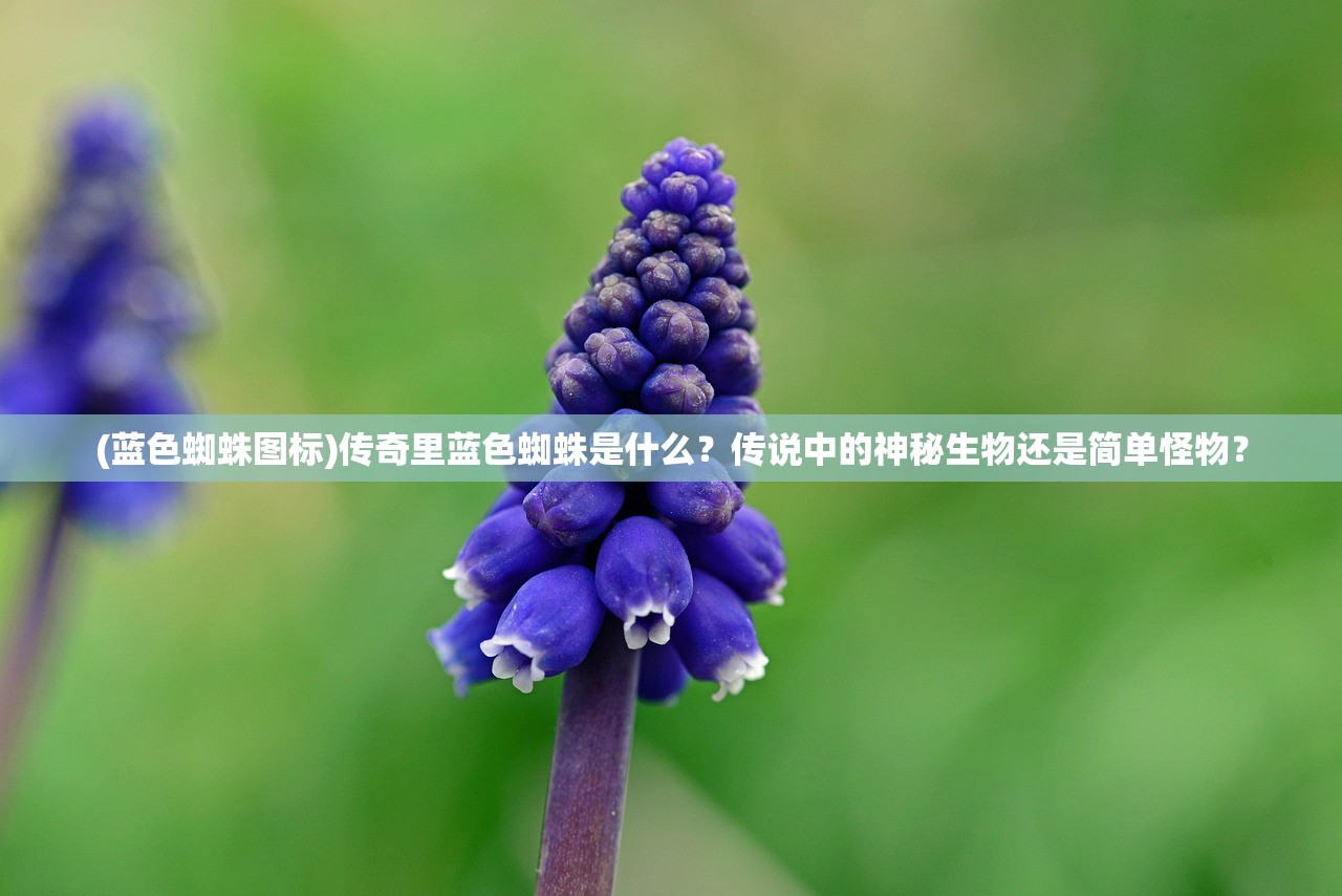 (魔域单机小游戏礼包兑换码是多少)魔域单机小游戏礼包兑换码，游戏玩家的福利与攻略