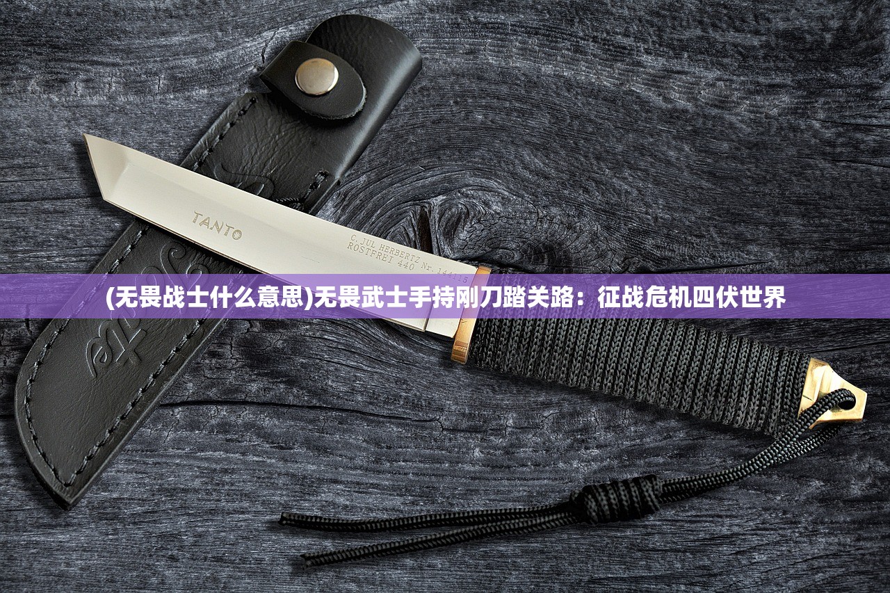 (虫虫大作战2游戏玩法)虫虫大作战2游戏，深度解析与常见问题解答