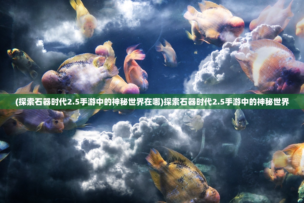 (探索石器时代2.5手游中的神秘世界在哪)探索石器时代2.5手游中的神秘世界