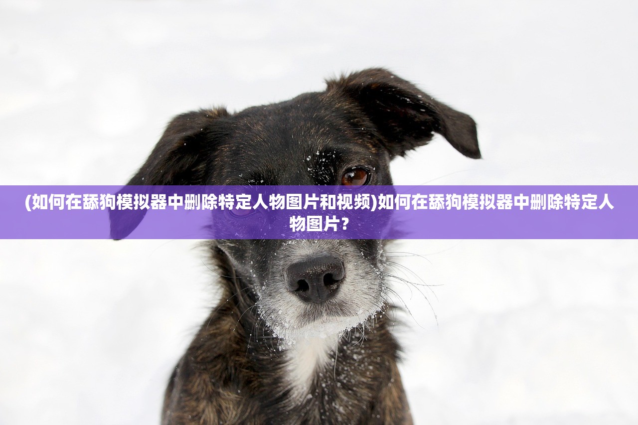 (如何在舔狗模拟器中删除特定人物图片和视频)如何在舔狗模拟器中删除特定人物图片？