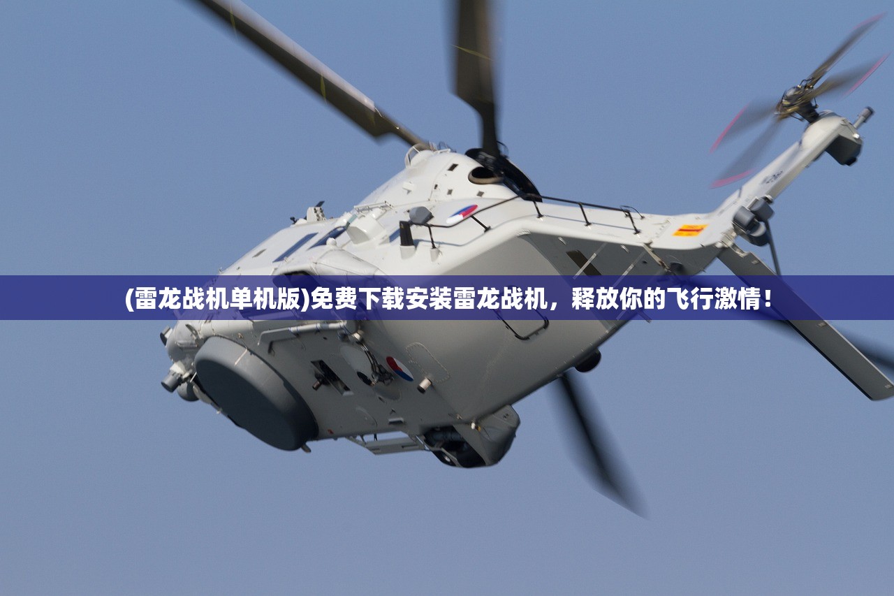 (雷龙战机单机版)免费下载安装雷龙战机，释放你的飞行激情！
