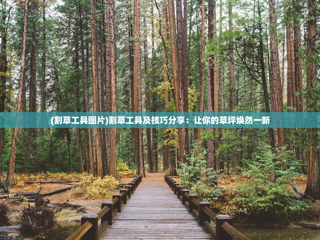 (割草工具图片)割草工具及技巧分享：让你的草坪焕然一新