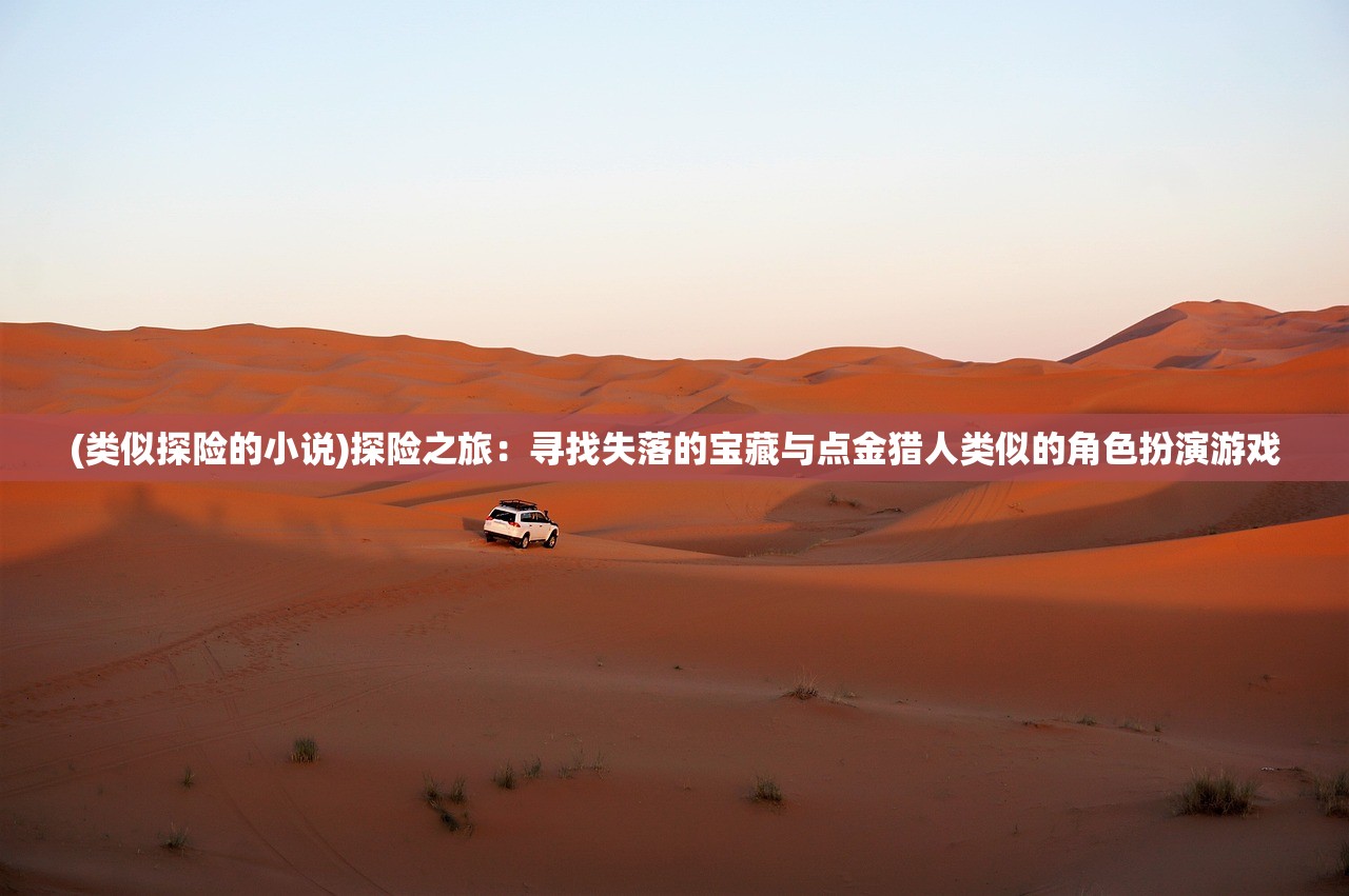 (类似探险的小说)探险之旅：寻找失落的宝藏与点金猎人类似的角色扮演游戏