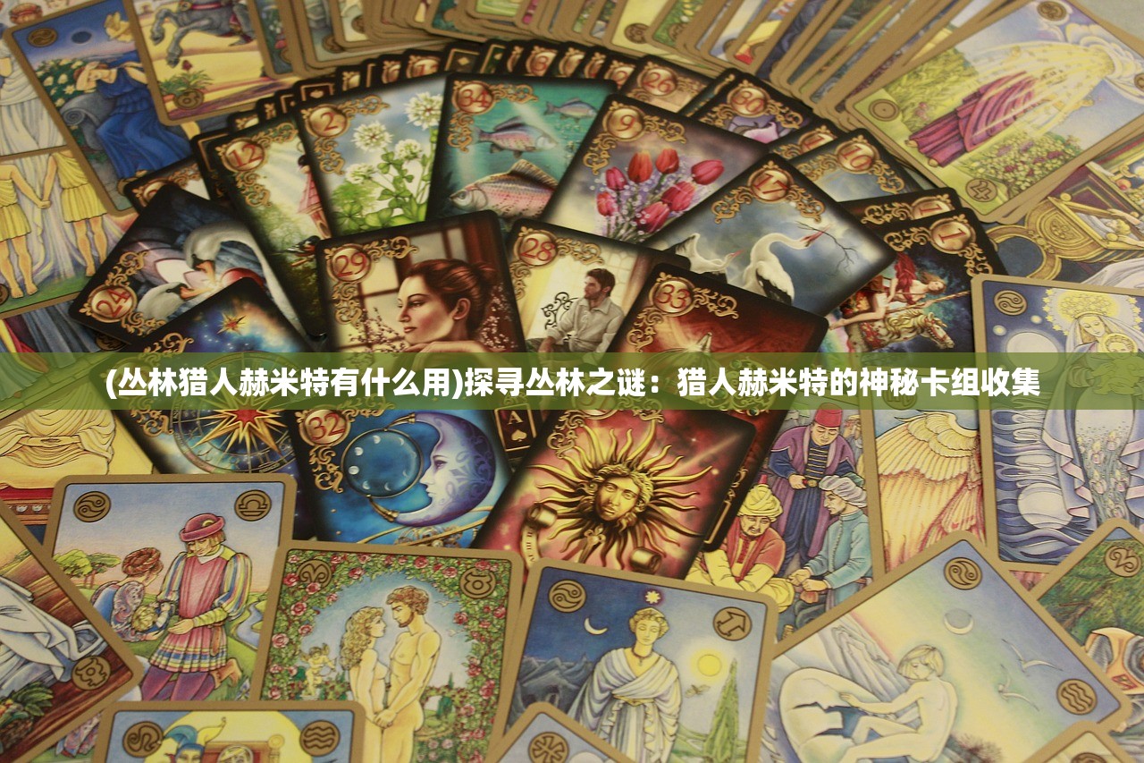 (丛林猎人赫米特有什么用)探寻丛林之谜：猎人赫米特的神秘卡组收集