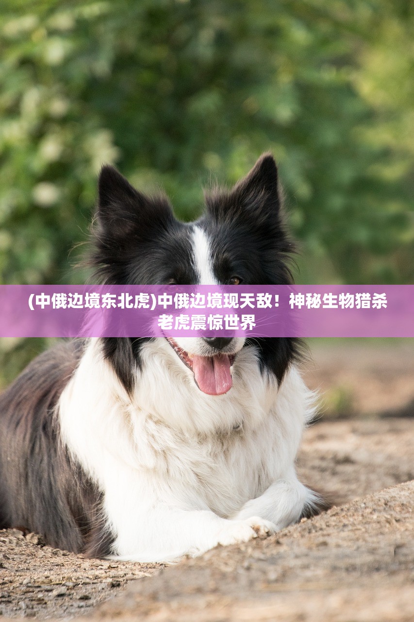 (牛奶做炼乳的教程)牛奶炼金工厂手机版官方正版，让你体验全新的养生奇妙之旅