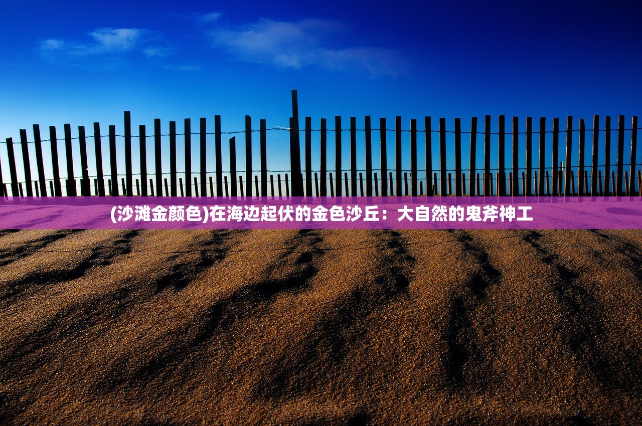 (沙滩金颜色)在海边起伏的金色沙丘：大自然的鬼斧神工