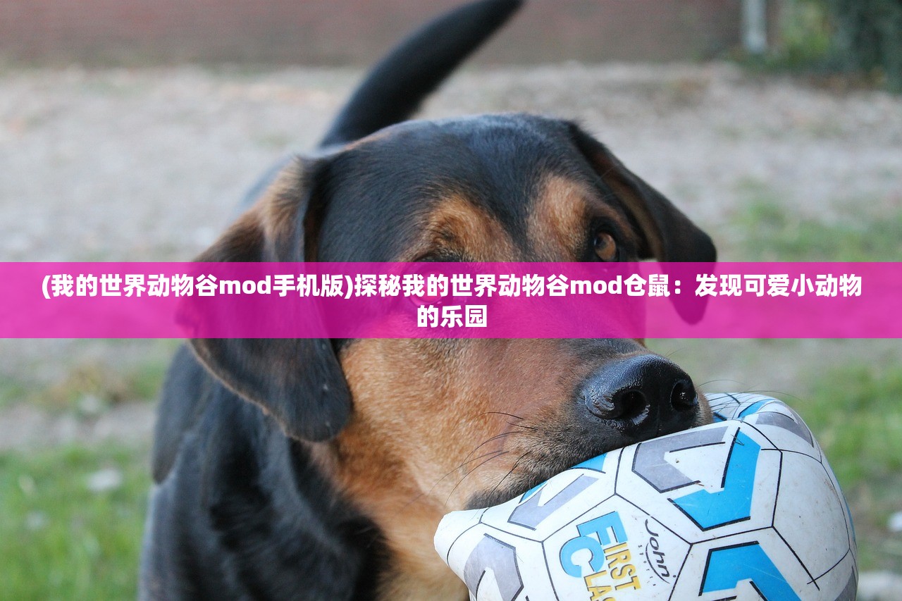 (战争峡谷日常任务在哪看)战争峡谷日常任务位置详解及常见问答（FAQ）