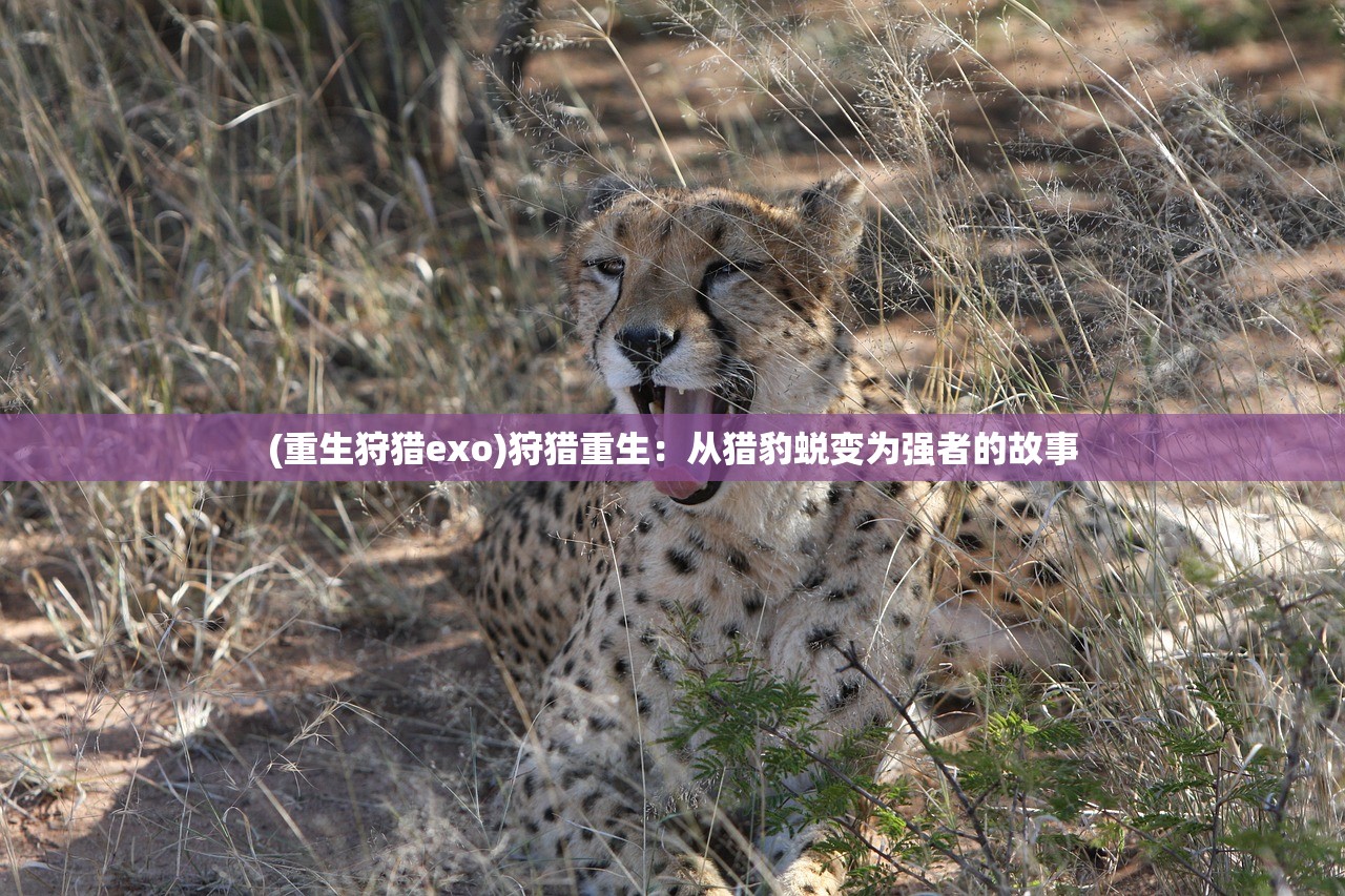 (重生狩猎exo)狩猎重生：从猎豹蜕变为强者的故事