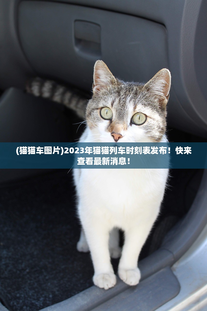 (猫猫车图片)2023年猫猫列车时刻表发布！快来查看最新消息！