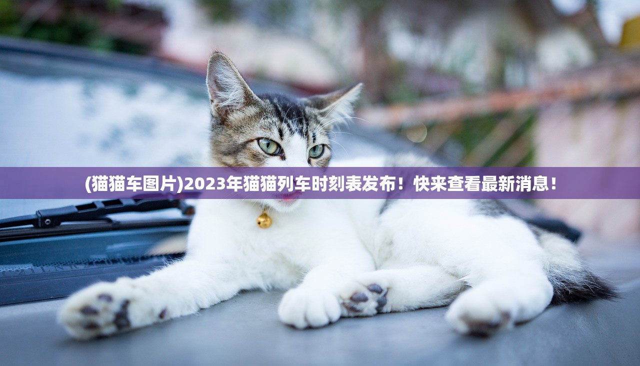 (猫猫车图片)2023年猫猫列车时刻表发布！快来查看最新消息！