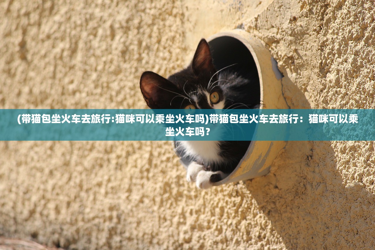 (寒刃单机版下载)寒刃单机版，深入解析游戏特色与魅力