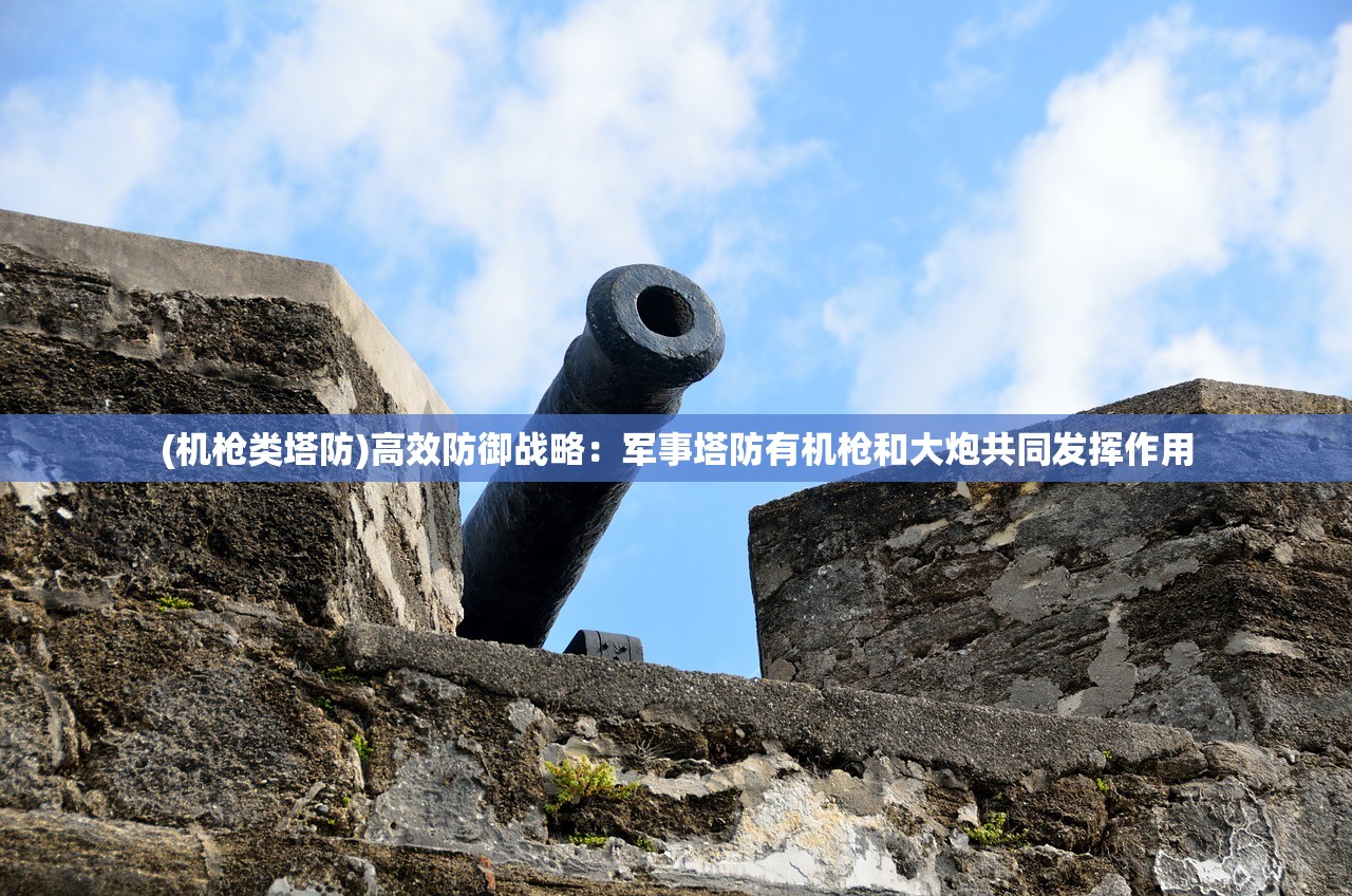 (机枪类塔防)高效防御战略：军事塔防有机枪和大炮共同发挥作用