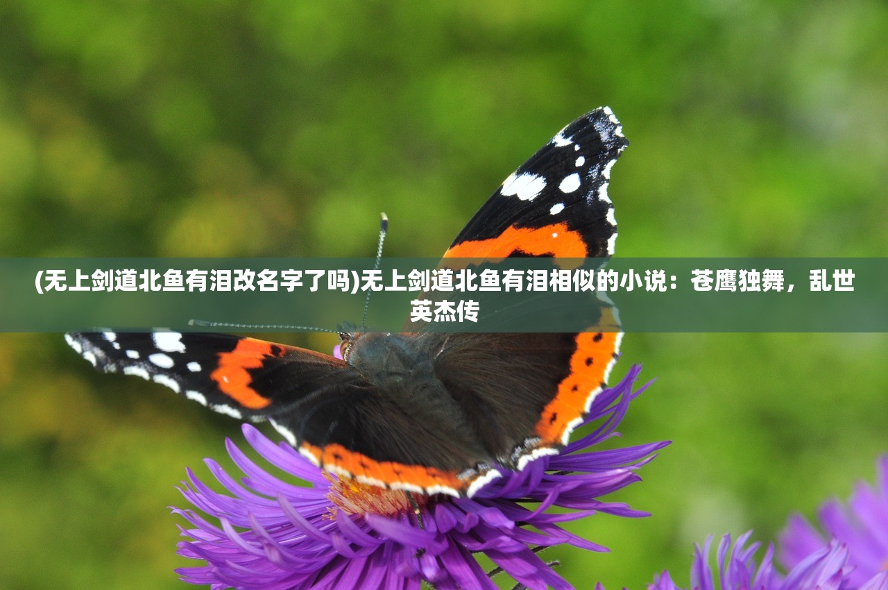(无上剑道北鱼有泪改名字了吗)无上剑道北鱼有泪相似的小说：苍鹰独舞，乱世英杰传