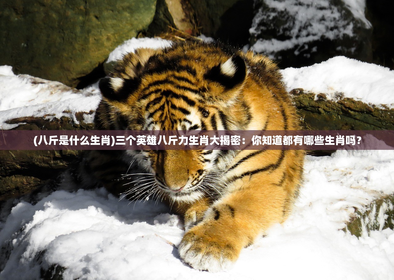 (最后生还者2上架steam)最后生还者2 PC版发布了吗？游戏跨平台解析