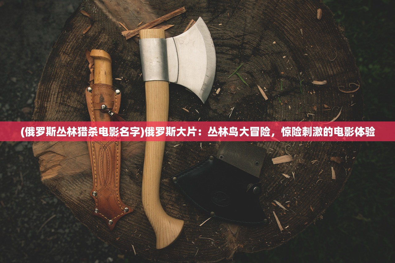 (哞哩的长梦全关卡解锁版要多少元)哞哩的长梦全关卡解锁版，深度探索与常见问题解答