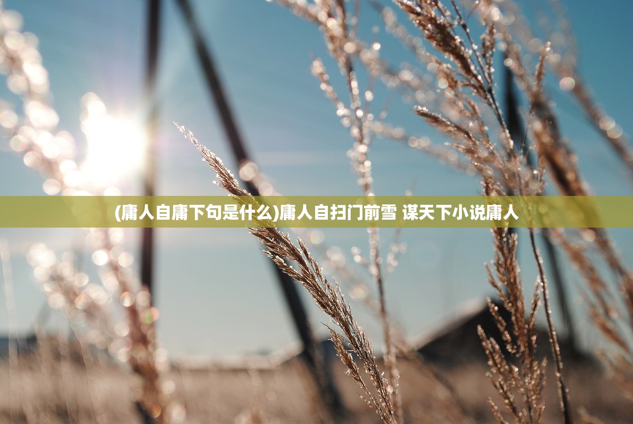 (庸人自庸下句是什么)庸人自扫门前雪 谋天下小说庸人