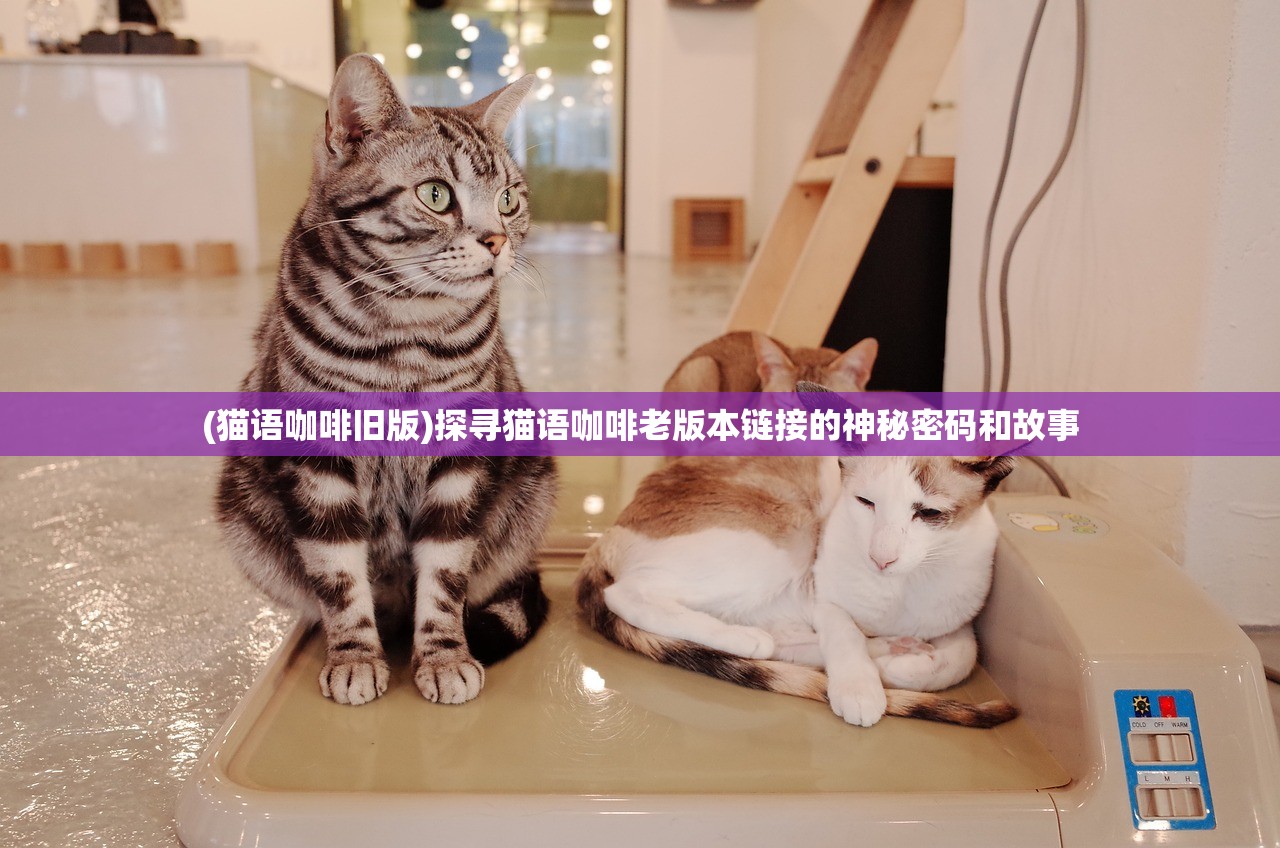 (猫语咖啡旧版)探寻猫语咖啡老版本链接的神秘密码和故事