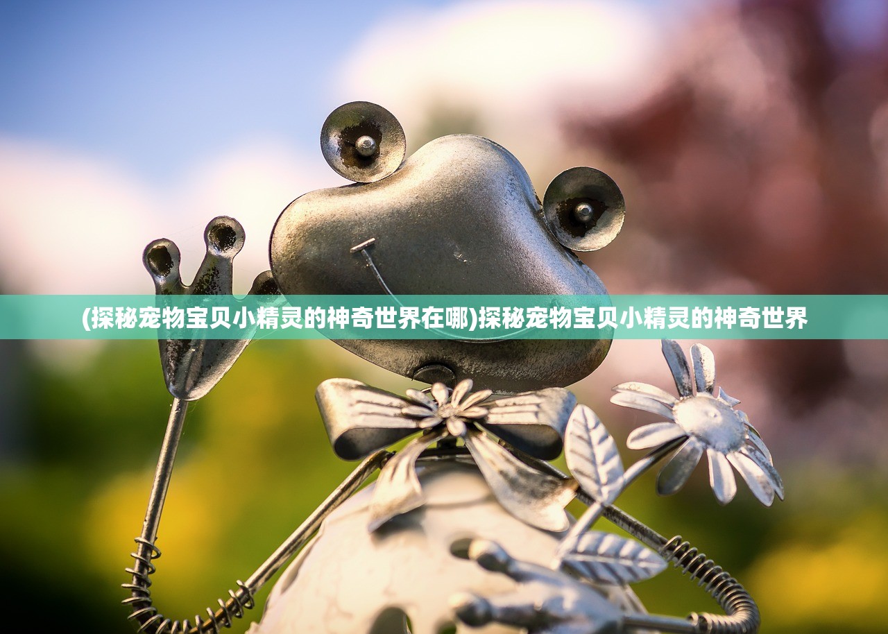 (探秘宠物宝贝小精灵的神奇世界在哪)探秘宠物宝贝小精灵的神奇世界