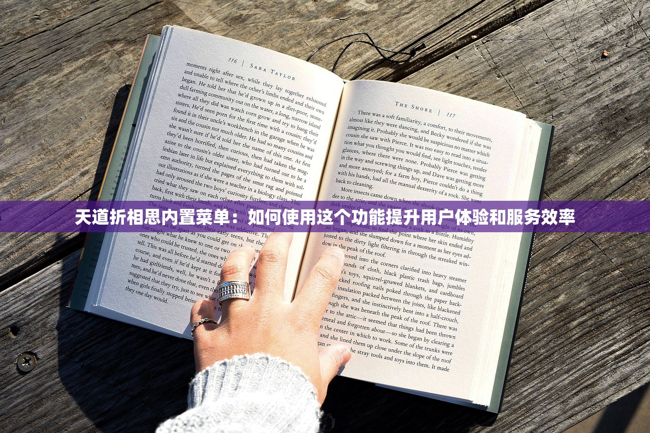 天道折相思内置菜单：如何使用这个功能提升用户体验和服务效率