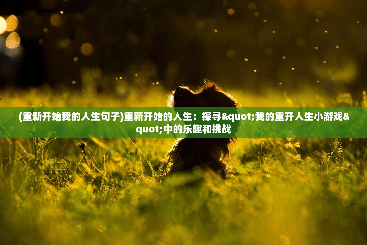 (龙之剑圣阵容选择)全面解析龙之剑圣攻略，从入门到精通