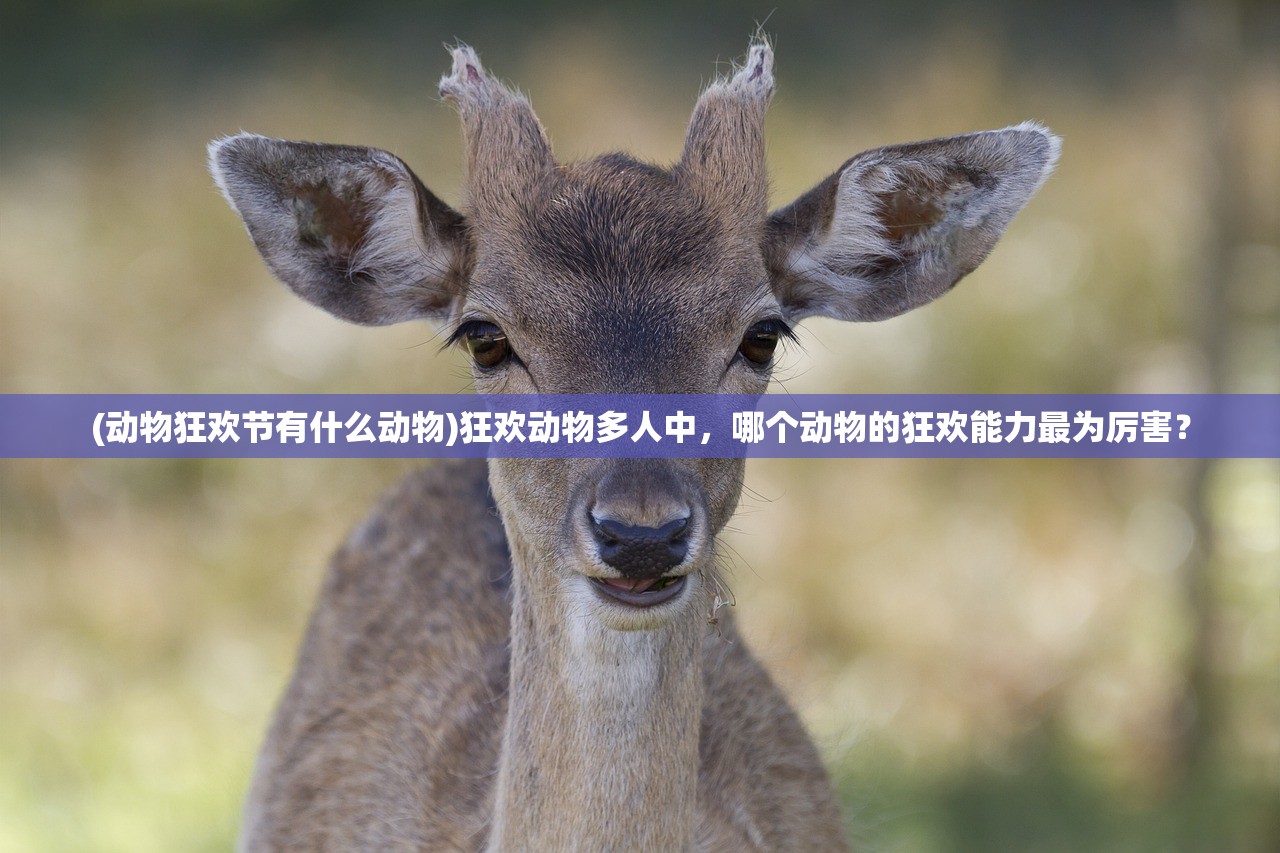 (动物狂欢节有什么动物)狂欢动物多人中，哪个动物的狂欢能力最为厉害？