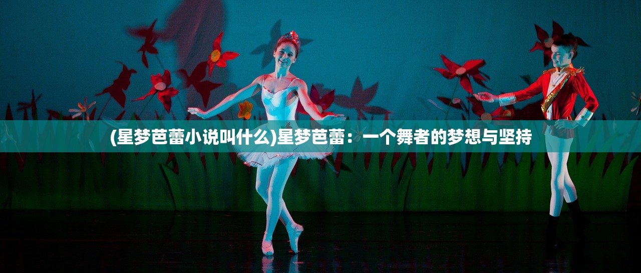 (星梦芭蕾小说叫什么)星梦芭蕾：一个舞者的梦想与坚持