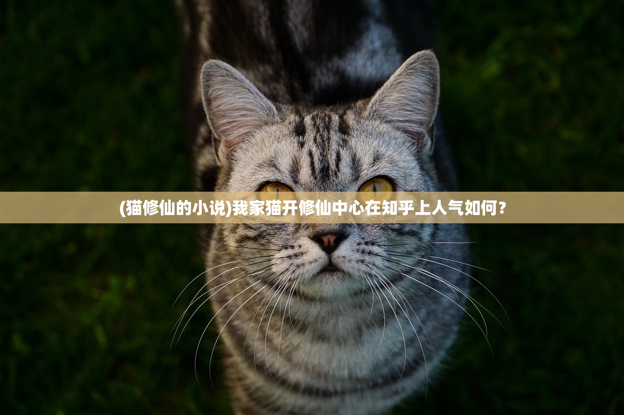 (猫修仙的小说)我家猫开修仙中心在知乎上人气如何？
