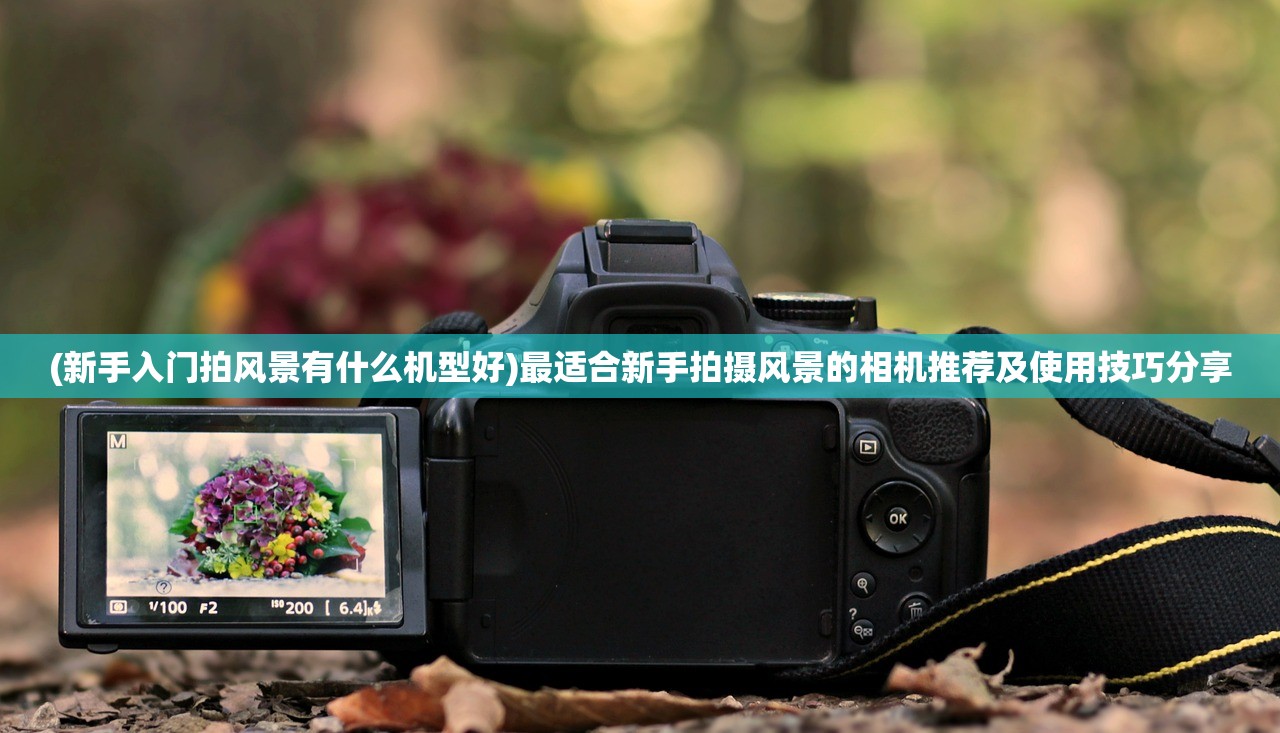(新手入门拍风景有什么机型好)最适合新手拍摄风景的相机推荐及使用技巧分享