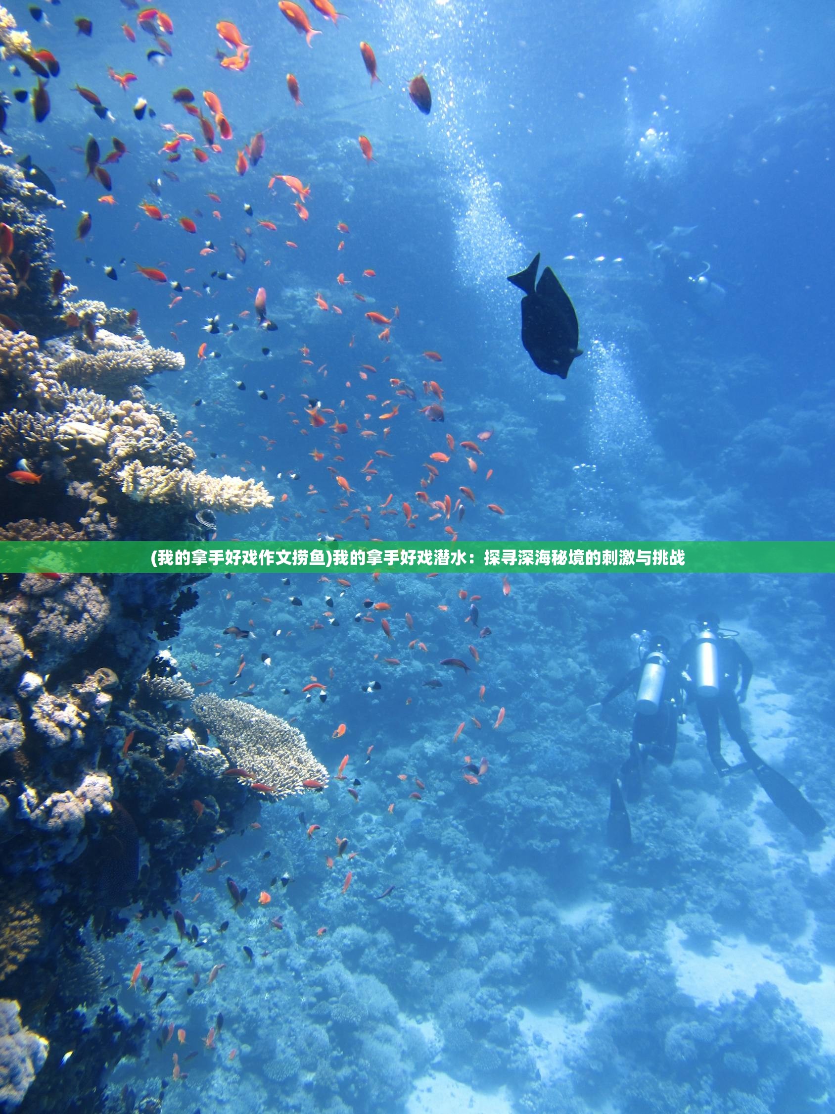 (我的拿手好戏作文捞鱼)我的拿手好戏潜水：探寻深海秘境的刺激与挑战